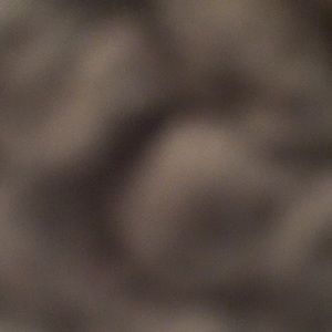 Meet your Posher, Ariel